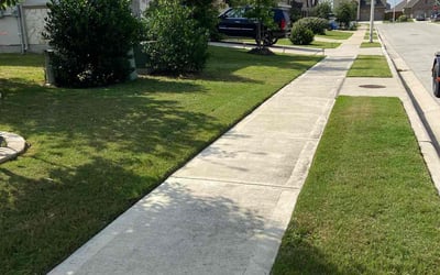 Photo of David C.'s yard after getting lawn care in Manor, TX