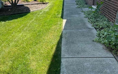 Photo of Patricia W.'s yard after getting lawn care in Macomb, MI