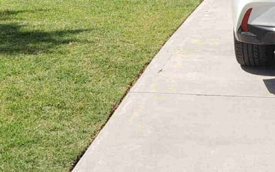 Photo of Deneezian P.'s yard after getting lawn care in Moore, SC