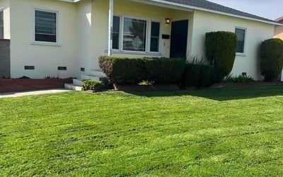Photo of Frank G.'s yard after getting lawn care in Calabasas, CA