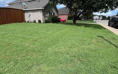 Photo of Tim H.'s yard after getting lawn care in DeSoto, TX
