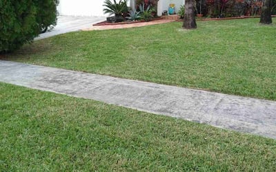 Photo of Iliana T.'s yard after getting lawn care in Cutler Bay, FL