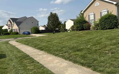 Photo of Larissa D.'s yard after getting lawn care in Dayton, OH