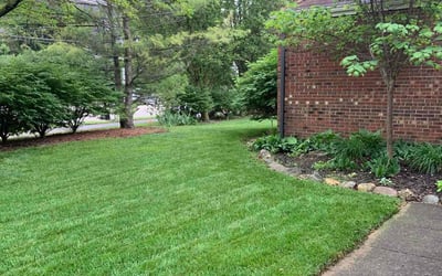 Photo of Susan M.'s yard after getting lawn care in Leesburg, FL