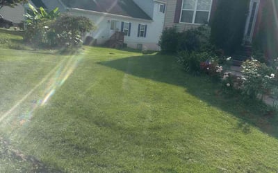Photo of Thomas B.'s yard after getting lawn care in Arbutus, MD