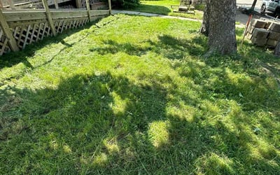 Photo of Maxine M.'s yard after getting tree care in Hopkins, MN