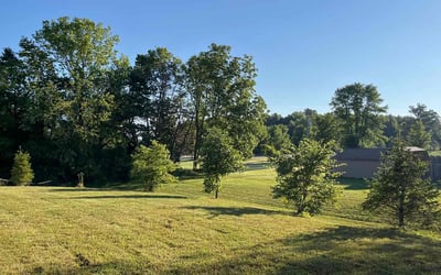 Photo of Candice N.'s yard after getting lawn care in Avon, IN