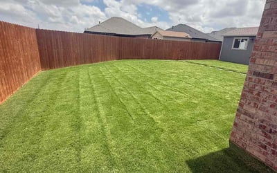 Photo of Aaron O.'s yard after getting lawn care in Goodyear, AZ