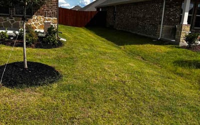 Photo of Julissa C.'s yard after getting lawn care in Haledon, NJ