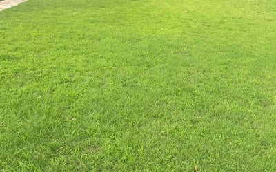 Photo of Kristin P.'s yard after getting lawn care in Broken Arrow, OK
