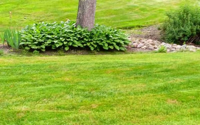 Photo of Randi E.'s yard after getting lawn care in Franklin, MA