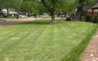 Photo of Robbie G.'s yard after getting lawn care in Canal Winchester, OH