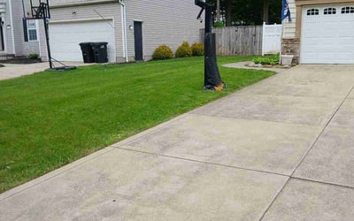 Photo of James G.'s yard after getting lawn care in Warren, MI