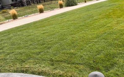 Photo of Harry F.'s yard after getting lawn care in Littleton, CO