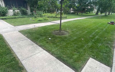 Photo of Jordan D.'s yard after getting lawn care in Evanston, IL