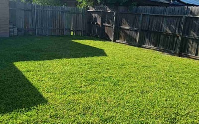 Photo of Jacquelyn V.'s yard after getting lawn care in Walker, LA