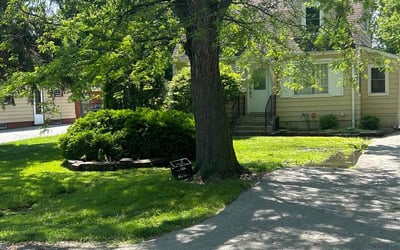 Photo of Dave M.'s yard after getting lawn care in Richton Park, IL