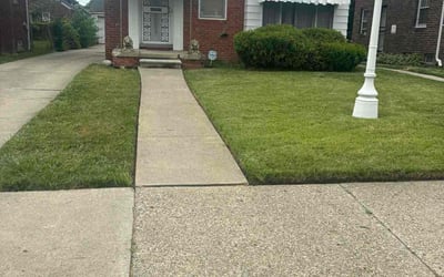 Photo of Angelina E.'s yard after getting lawn care in Ventura, CA