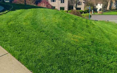 Photo of Mark H.'s yard after getting lawn care in Sewickley, PA