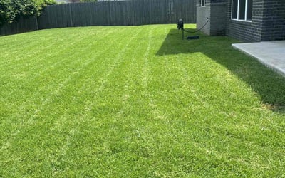 Photo of Nelson S.'s yard after getting lawn care in Guthrie, OK