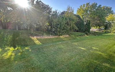 Photo of Sandra A.'s yard after getting lawn care in Riverside, IL