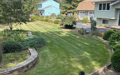 Photo of Cheryl O.'s yard after getting lawn care in Beverly, NJ