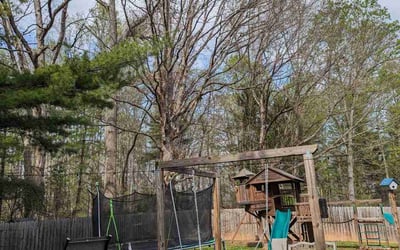 Photo of Kay A.'s yard after getting lawn care in Candler, NC