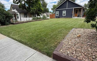 Photo of Dee C.'s yard after getting lawn care in Clearwater, FL