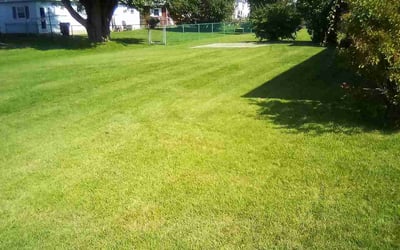 Photo of Ayla B.'s yard after getting lawn care in Troy, NY