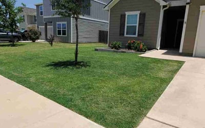 Photo of Cathy J.'s yard after getting lawn care in Manor, TX