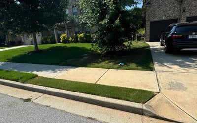 Photo of Alvin M.'s yard after getting lawn care in Covington, TN