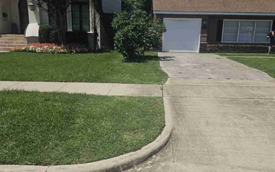 Photo of Emma W.'s yard after getting lawn care in Bellaire, TX