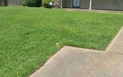 Photo of Sterling H.'s yard after getting lawn care in Somerville, TN