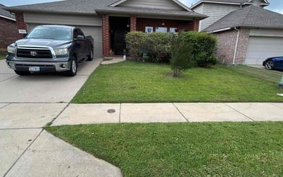 Photo of Emilie G.'s yard after getting lawn care in Fayetteville, AR