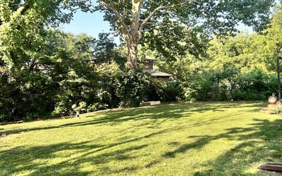 Photo of Zelene D.'s yard after getting lawn care in Newton, KS