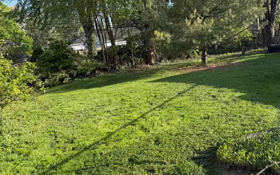 Photo of Bobby V.'s yard after getting lawn care in Ramsey, MN