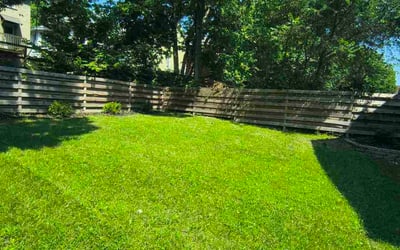 Photo of Jamar B.'s yard after getting lawn care in Little Elm, TX