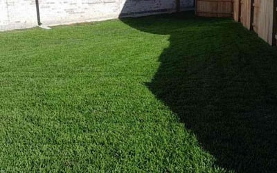 Photo of Darrin S.'s yard after getting lawn care in Conroe, TX