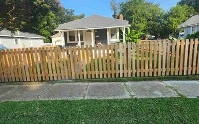 Photo of Sharon D.'s yard after getting lawn care in Norfolk, VA
