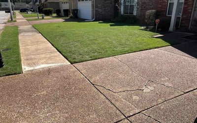 Photo of Edna C.'s yard after getting lawn care in Memphis, TN