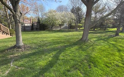 Photo of Steven e.'s yard after getting lawn care in Lewis Center, OH