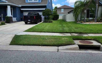 Photo of Dee C.'s yard after getting lawn care in Seguin, TX