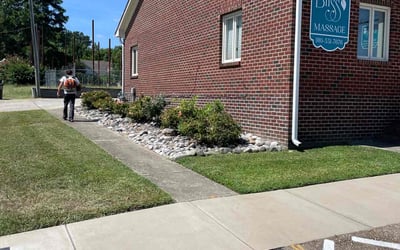 Photo of Johanna T.'s yard after getting lawn care in New York, NY