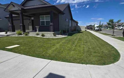 Photo of David R.'s yard after getting lawn care in Robstown, TX