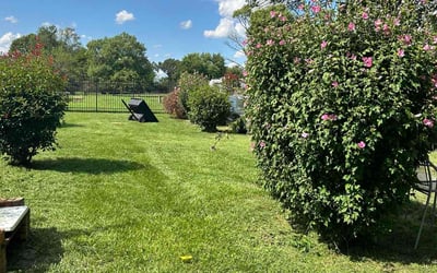 Photo of Sherry S.'s yard after getting lawn care in Suitland, MD