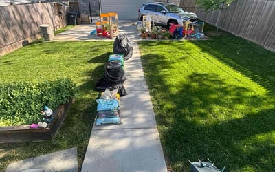 Photo of Todd F.'s yard after getting lawn care in Washington, DC