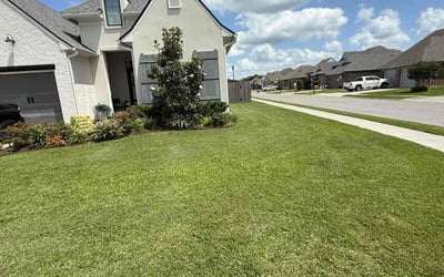 Photo of Richard Y.'s yard after getting lawn care in Santa Rosa, CA