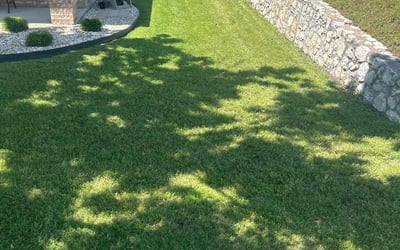 Photo of Jessica A.'s yard after getting lawn care in Benbrook, TX