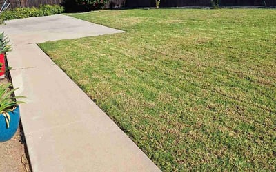 Photo of Miosotis R.'s yard after getting lawn care in Camarillo, CA