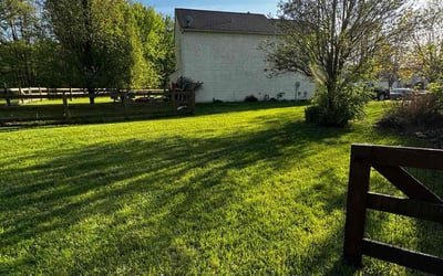 Photo of Norman V.'s yard after getting lawn care in Loveland, OH